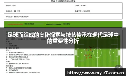 足球面组成的奥秘探索与技艺传承在现代足球中的重要性分析